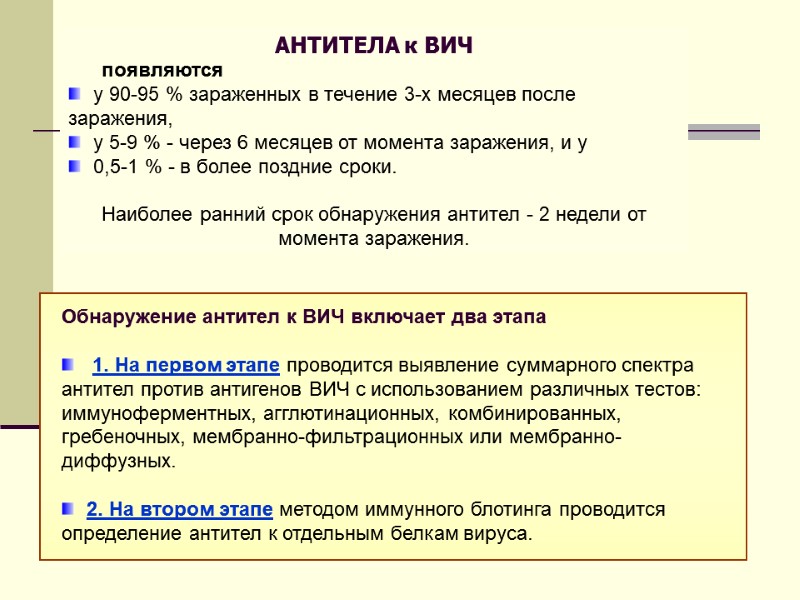 АНТИТЕЛА к ВИЧ       появляются    у